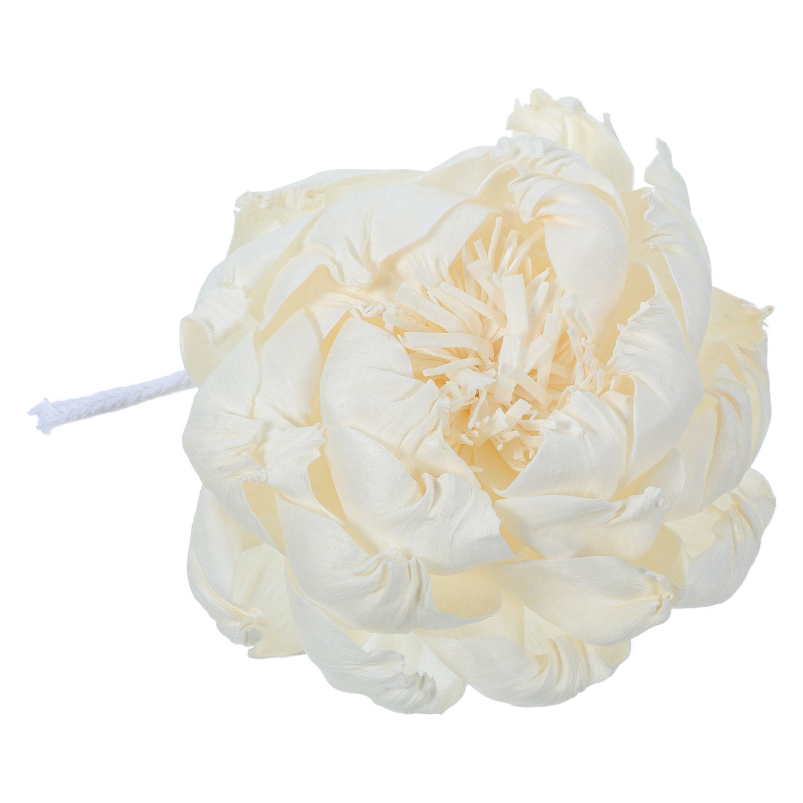 Dyfuzor zapachowy z głową piwo – Home Fragrance Oils For Diffusers recenzja i cena